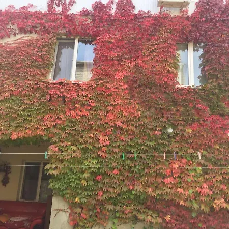 дом у моря Guest house