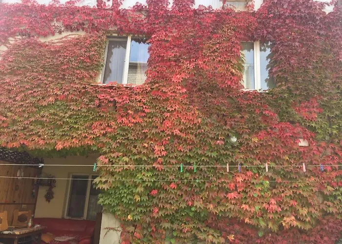 дом у моря Guest house