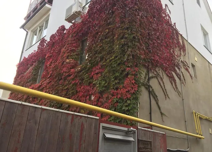 дом у моря * Odessza